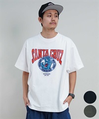 【マトメガイ対象】SANTACRUZ サンタクルーズ Tシャツ クルーネック メンズ 半袖 Tシャツ 502241413 ムラサキスポーツ限定(ARMY-M)