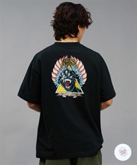 ムラサキスポーツ限定】 SANTACRUZ サンタクルーズ Natas ムラサキスポーツ限定】 SANTACRUZ サンタクルーズ Natas