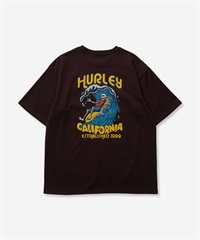 Hurley ハーレー BIG WAVE HEAVY WEIGHT SHORT SLEEVE TEE メンズ 半袖 Tシャツ 24MRSMSS01(CFB-S)