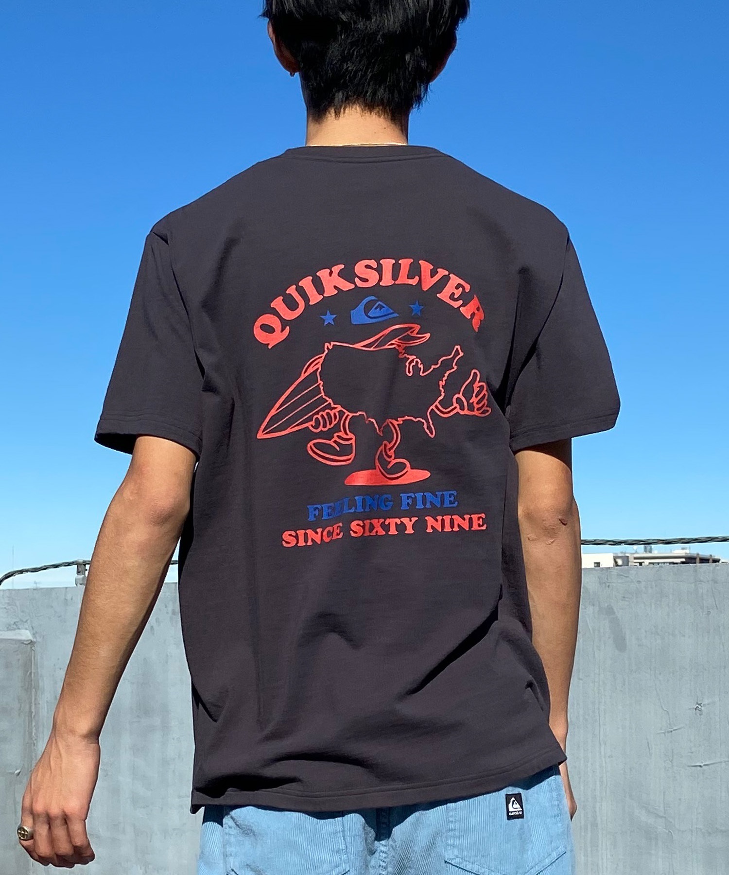 QUIKSILVER クイックシルバー メンズ Ｔシャツ 半袖 バックプリント クルーネック レギュラーフィット QST242002(CHC-M)