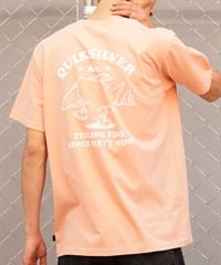 QUIKSILVER クイックシルバー メンズ Ｔシャツ 半袖 バックプリント クルーネック レギュラーフィット QST242002(ORG-M)