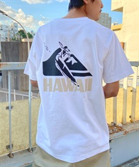 QUIKSILVER クイックシルバー メンズ ポケットTシャツ 半袖 ポケ