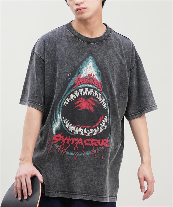 サンタクルーズ