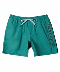 QUIKSILVER クイックシルバー メンズ ボードショーツ トランクス　水着 EVERYDAY VERT VOLLEY 19 AQYJV03157