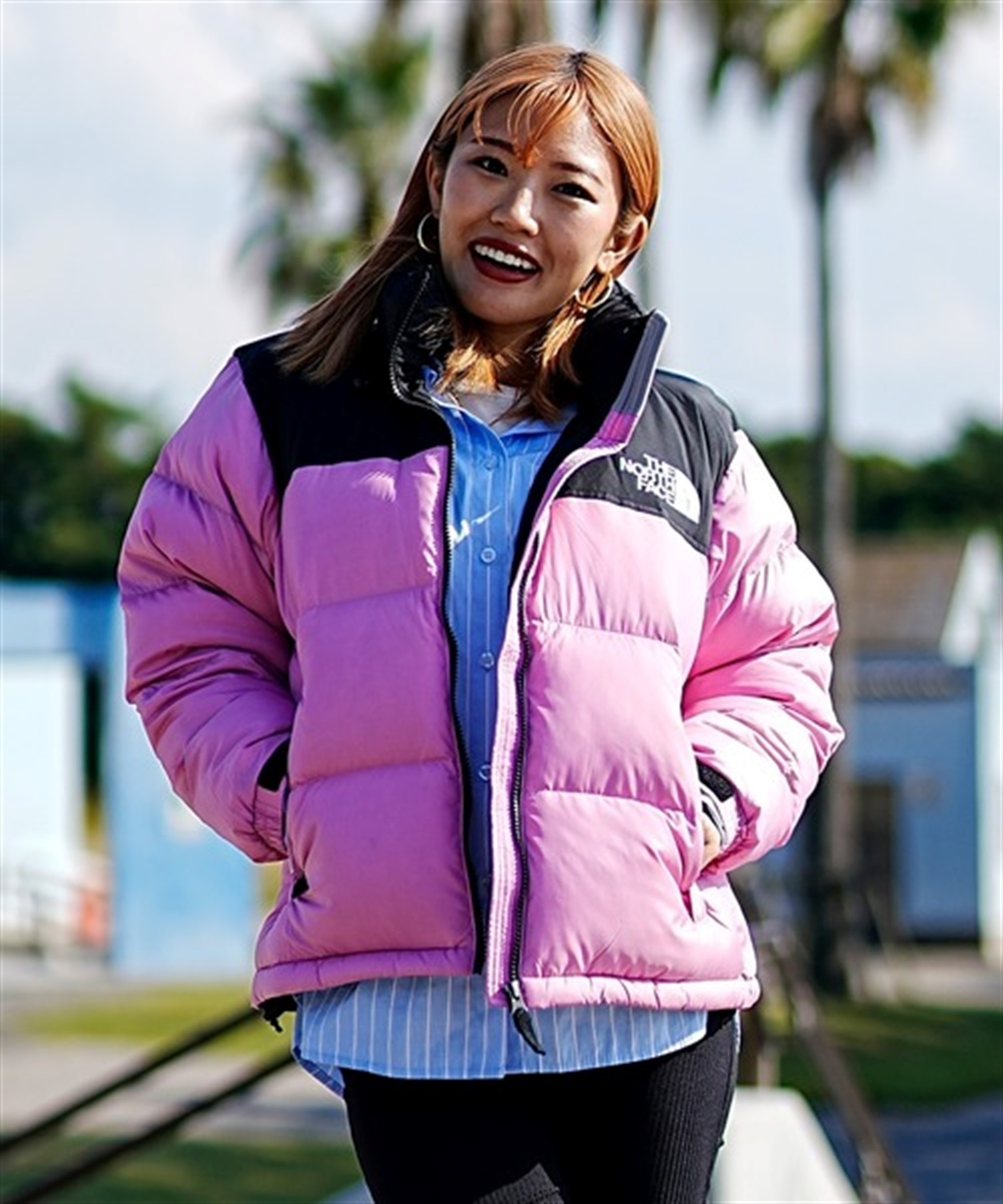 ノースフェイス 美品 ダウンジャケット ザノースフェイス THE NORTH 