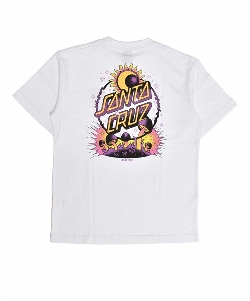 SANTA CRUZ サンタクルーズ DARK ARTS DOT S/S TEE 502231431 レディース 半袖 Tシャツ バックプリント KK1 C28(WT-M)