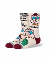 STANCE スタンス キッズ ジュニア ソックス 靴下 MR OWL KIDS K545A24MRO#CVS(CANVA-L)