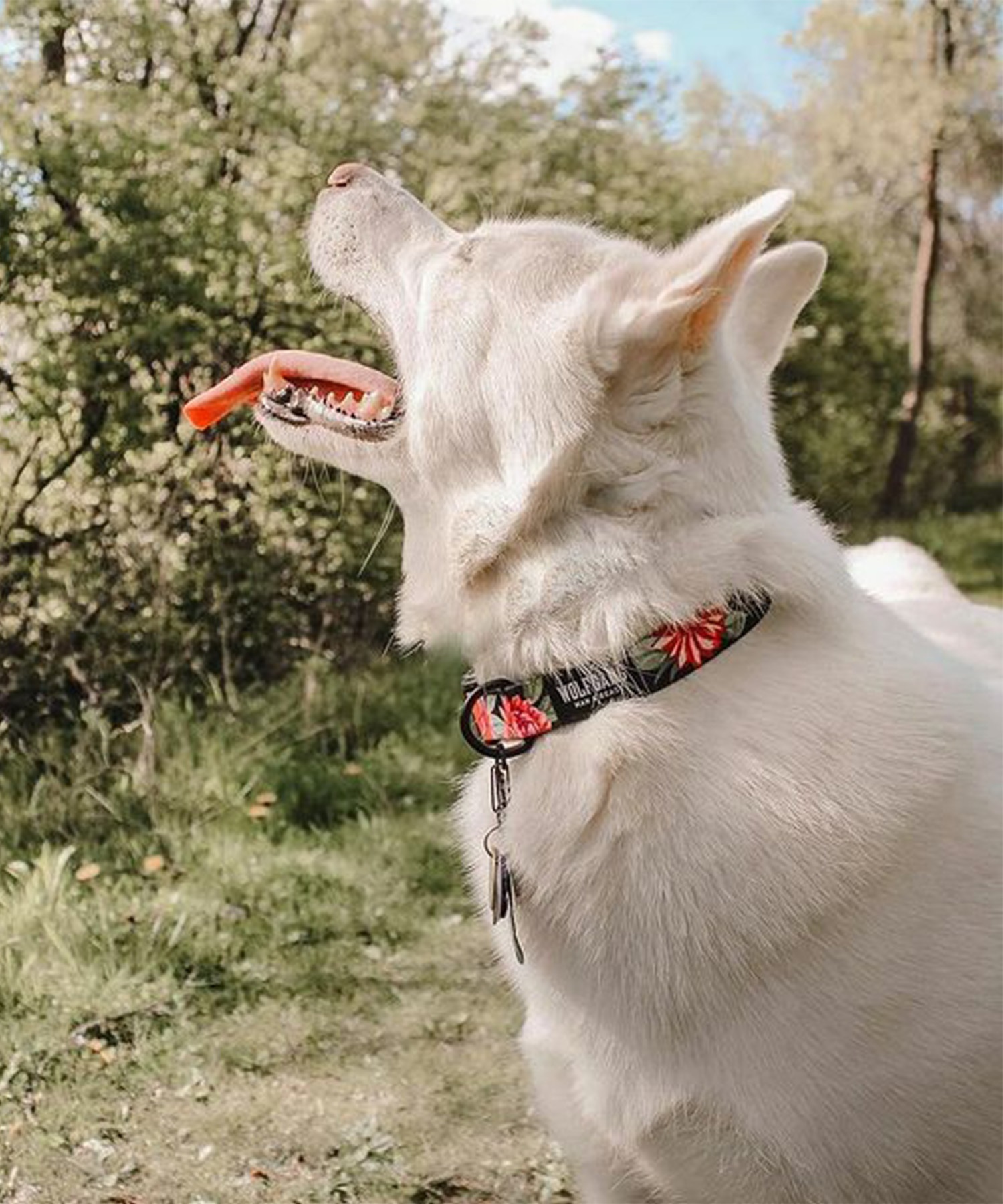 WOLFGANG ウルフギャング 犬用 首輪 DarkFloral COLLAR Lサイズ 中型犬用 大型犬用 ダークフローラル カラー 花柄 ブラック WC-003-00(BK-L)