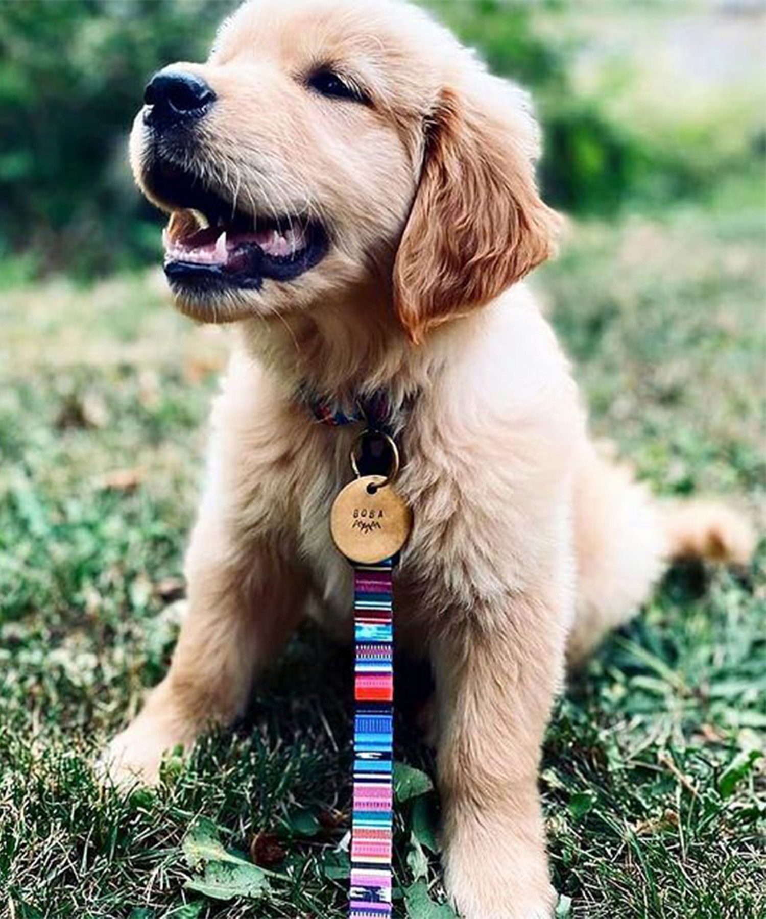 WOLFGANG ウルフギャング 犬用 リード Quetzal LEASH Sサイズ