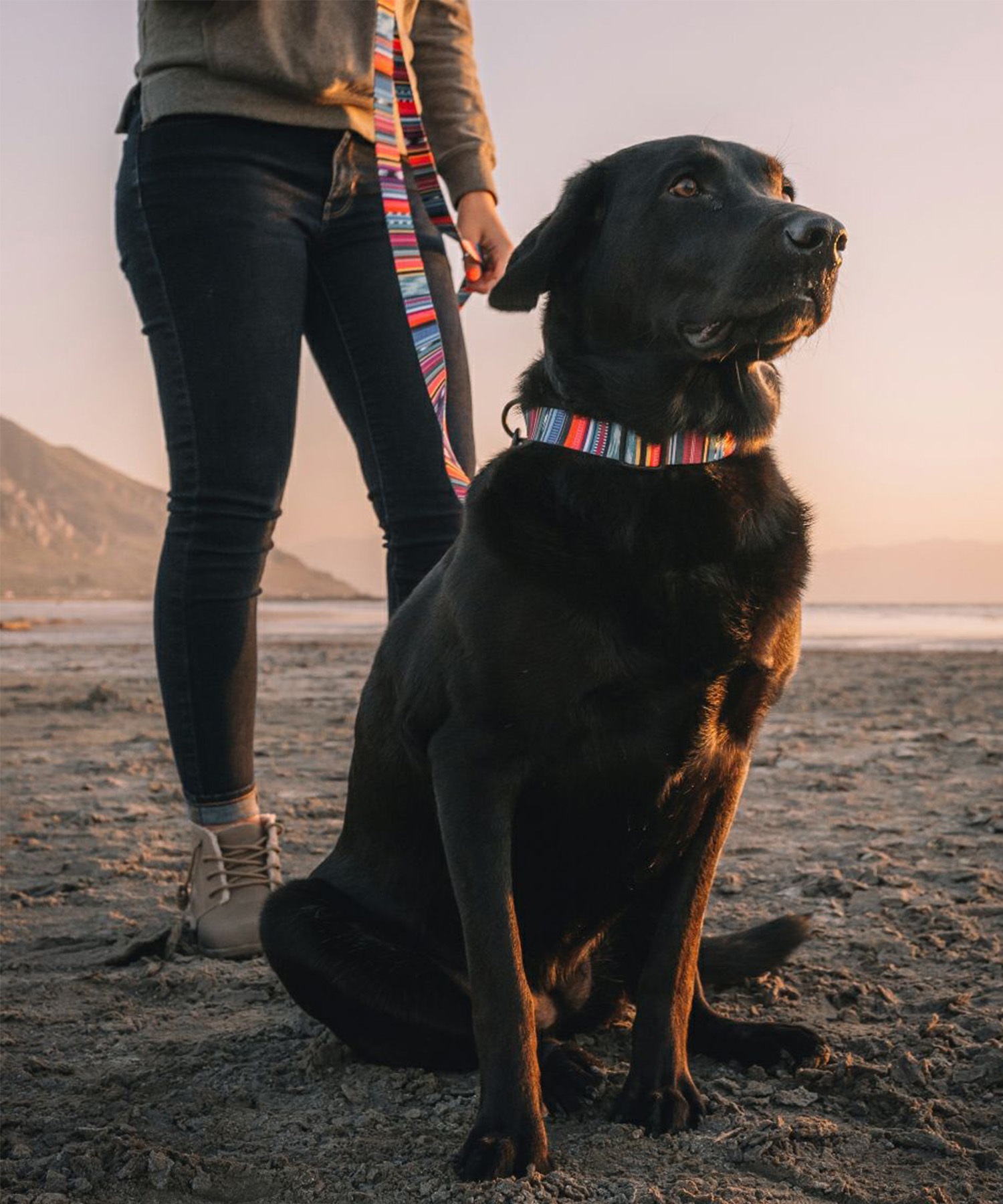 WOLFGANG ウルフギャング 犬用 リード Quetzal LEASH Mサイズ 中型犬用 大型犬用 ケツァール リーシュ マルチカラー WL-002-07(MULTI-M)