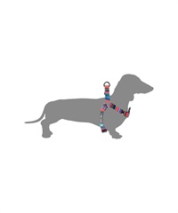 WOLFGANG ウルフギャング 犬用 ハーネス Quetzal HARNESS S