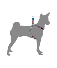 WOLFGANG ウルフギャング 犬用 ハーネス Quetzal HARNESS Mサイズ 小型犬用 中型犬用 胴輪 ケツァール マルチカラー WH-002-07(MULTI-M)