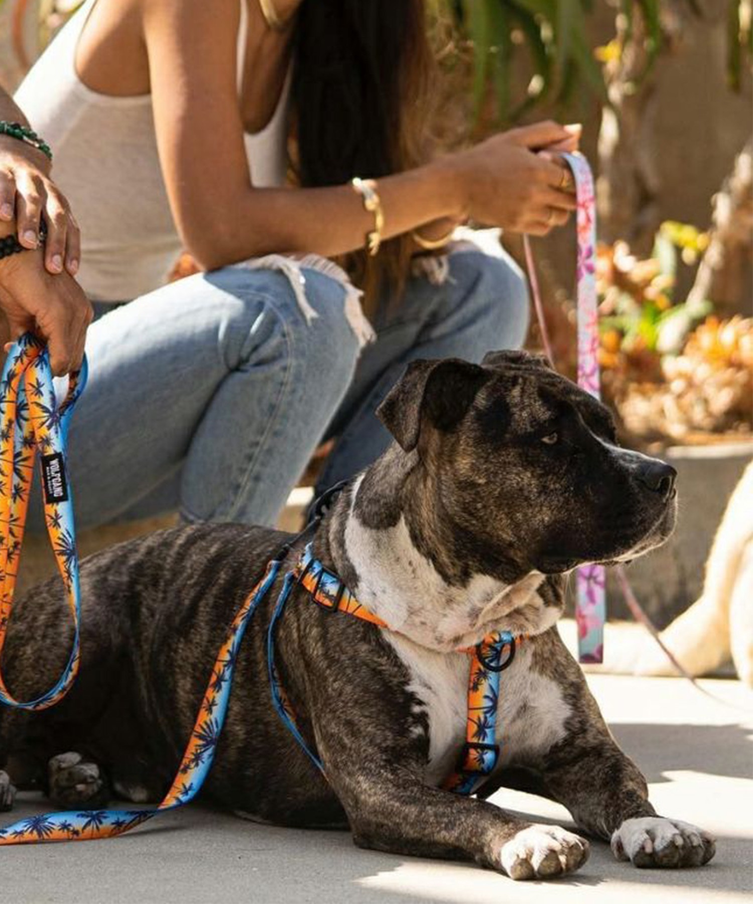 WOLFGANG ウルフギャング 犬用 ハーネス SunsetPalms Harness Sサイズ