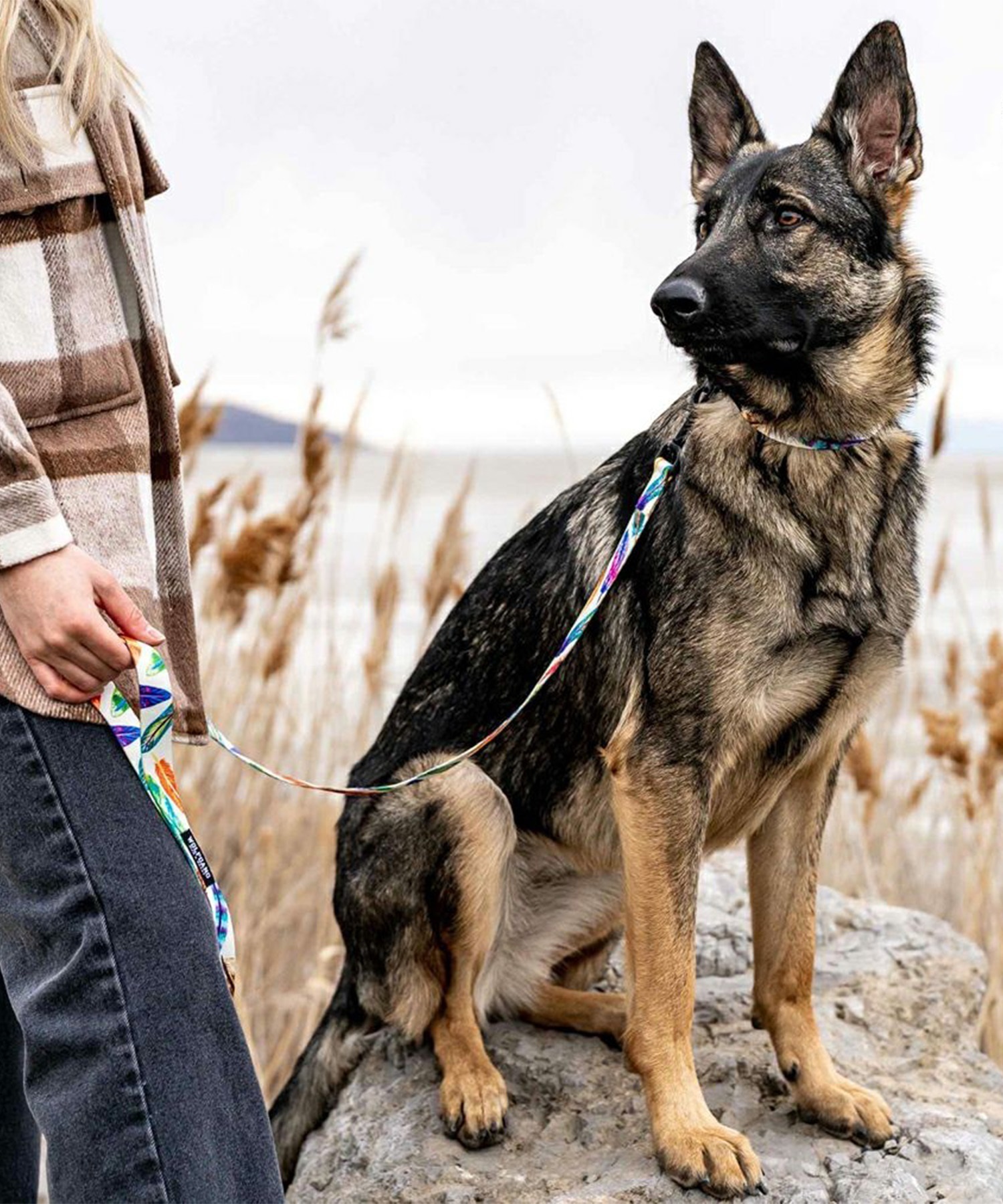 WOLFGANG/ウルフギャング 犬用 リード FeatheredFriend Leash Sサイズ