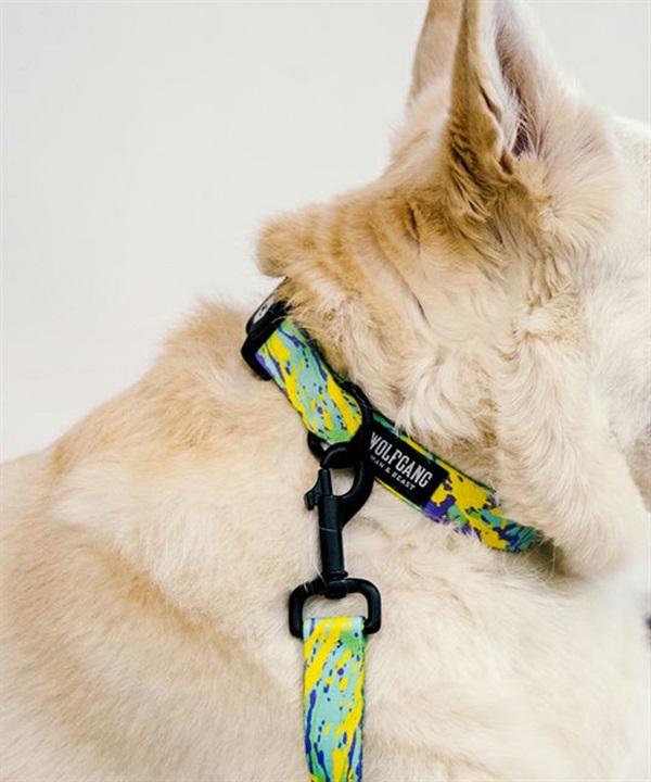 WOLFGANG ウルフギャング 犬用 首輪 ModernCanvas Collar Sサイズ 超小型犬用 小型犬用 モダンキャンバス カラー グリーン系 WC-001-103