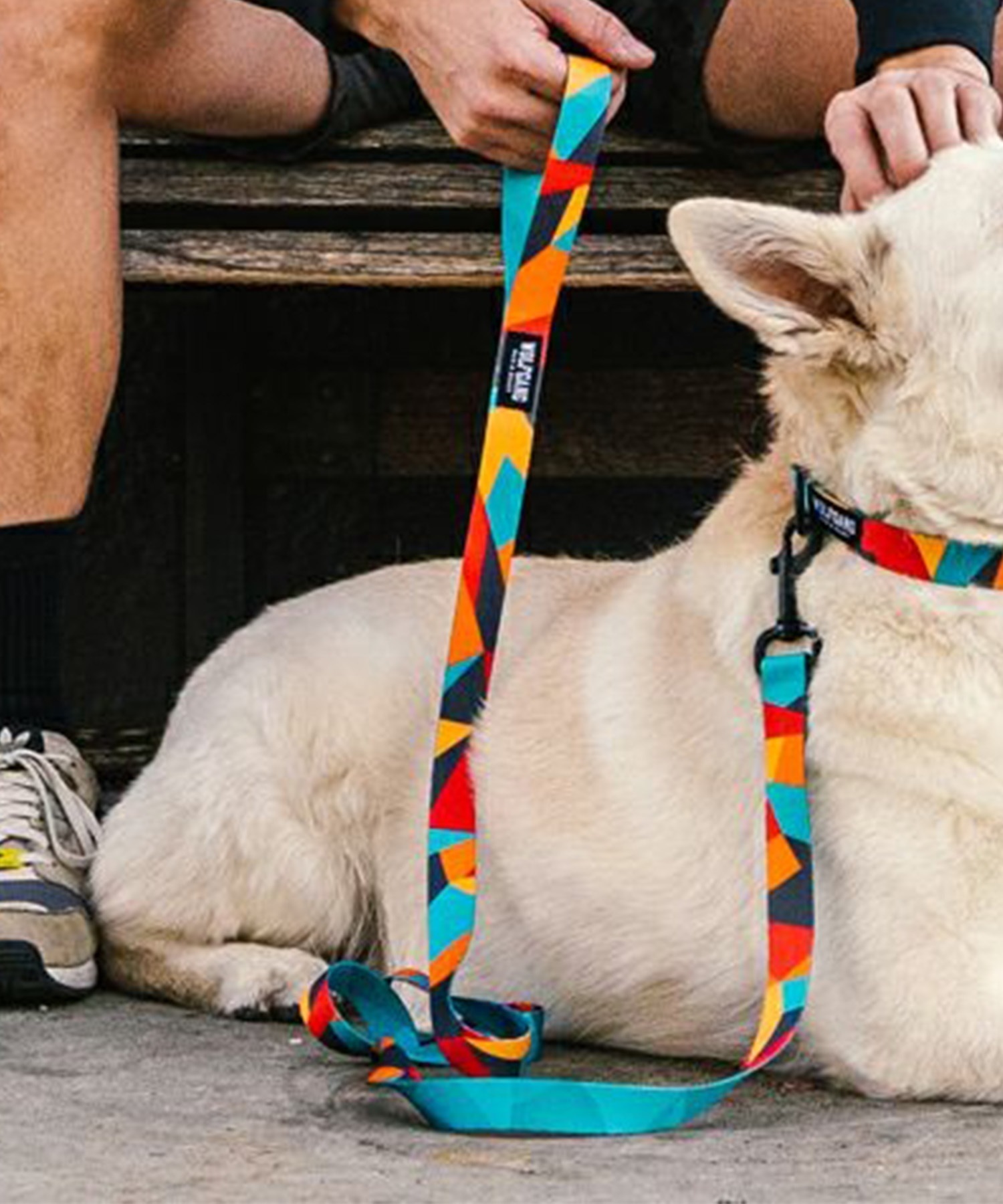 WOLFGANG ウルフギャング 犬用 リード ShatterShapes Leash Sサイズ 小型犬用 シャッターシェイプス リーシュ マルチカラー WL-001-105(MULTI-S)