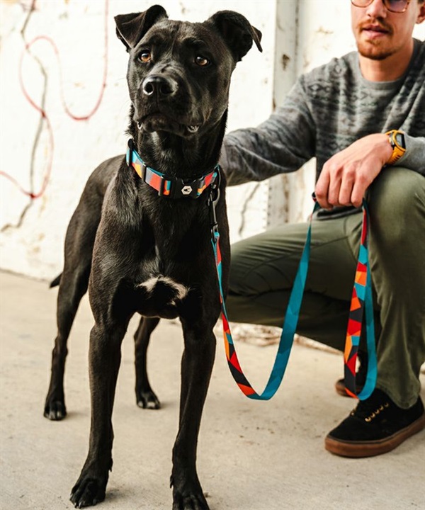 WOLFGANG ウルフギャング 犬用 リード ShatterShapes Leash Mサイズ 中型犬用 大型犬用 シャッターシェイプス リーシュ マルチカラー WL-002-105