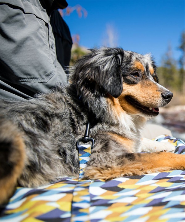 WOLFGANG ウルフギャング 犬用 リード GrandView LEASH Lサイズ 中型犬用 大型犬用 グランドビュー リーシュ マルチカラー WL-003-02