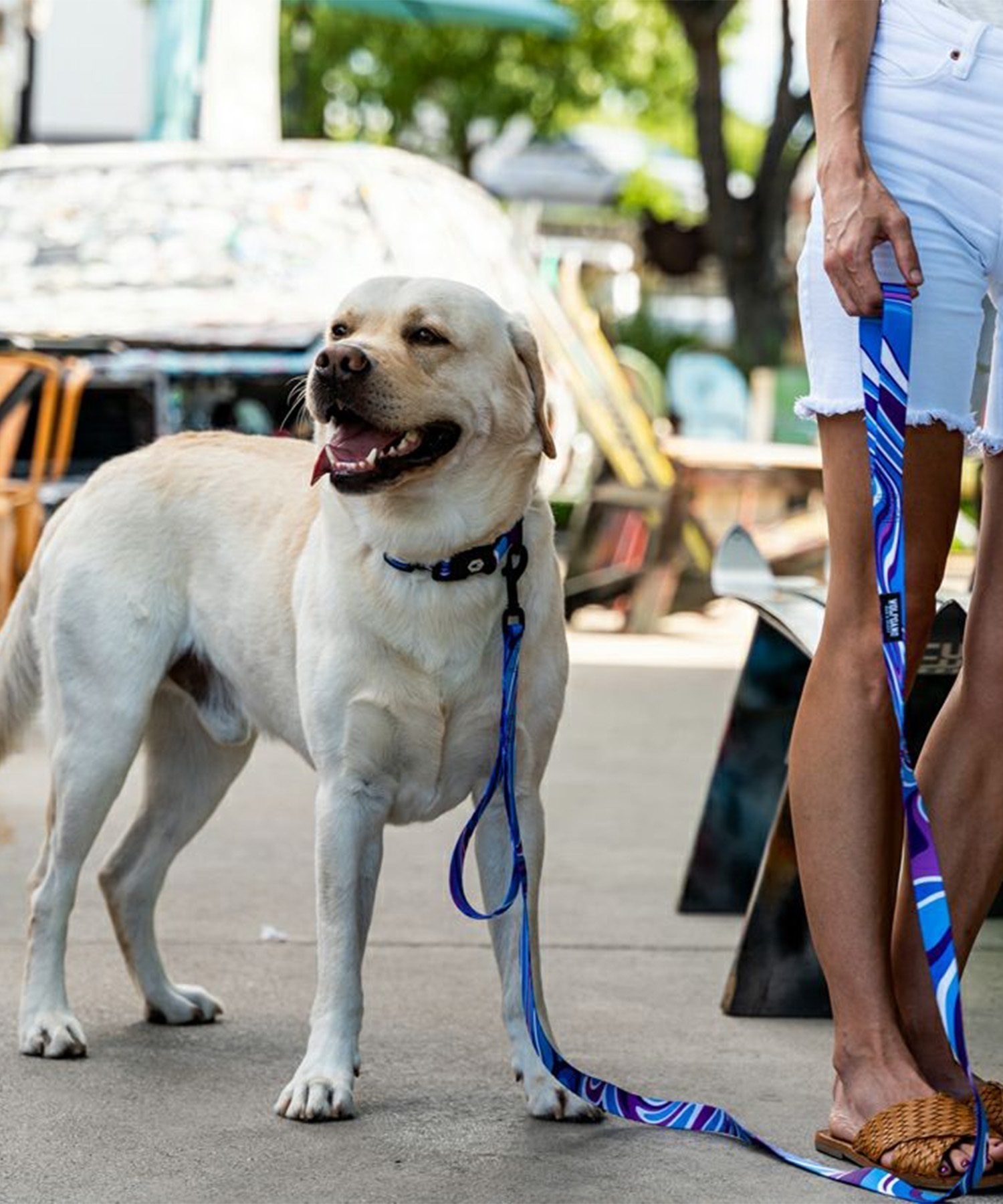 WOLFGANG ウルフギャング 犬用 リード MarbleWave Leash Lサイズ 中型犬用 大型犬用 マーブルウェイブ リーシュ ブルー系 WL-003-102(PU-L)
