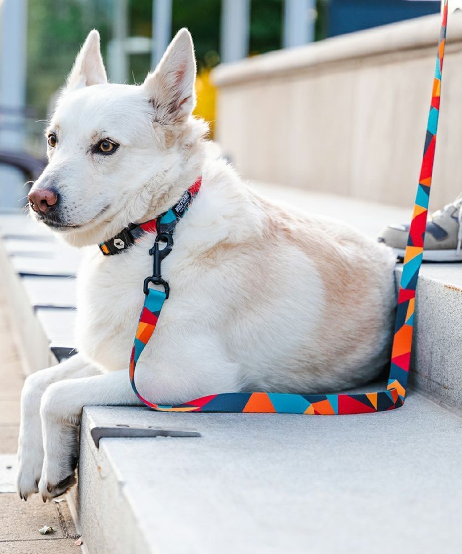 WOLFGANG ウルフギャング 犬用 リード ShatterShapes Leash Lサイズ 中型犬用 大型犬用 シャッターシェイプス リーシュ マルチカラー WL-003-105(MULTI-L)