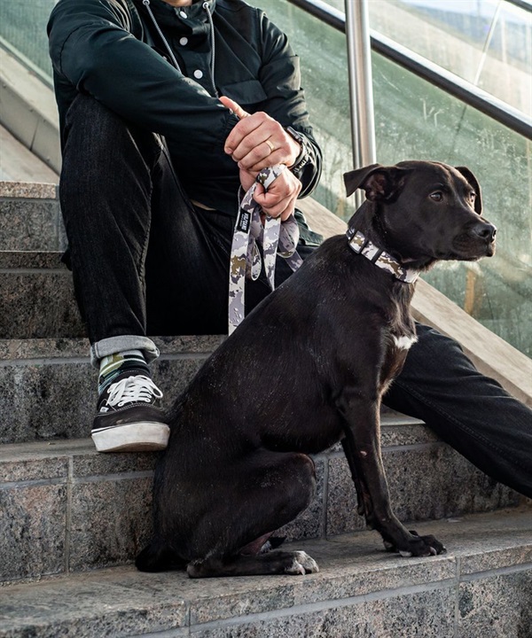 WOLFGANG ウルフギャング 犬用 リード HideOut Leash Lサイズ 中型犬用 大型犬用 ハイドアウト リーシュ 迷彩柄 グレー系 WL-003-74