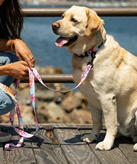 WOLFGANG ウルフギャング 犬用 リード DigiFloral Leash Lサイズ 中型
