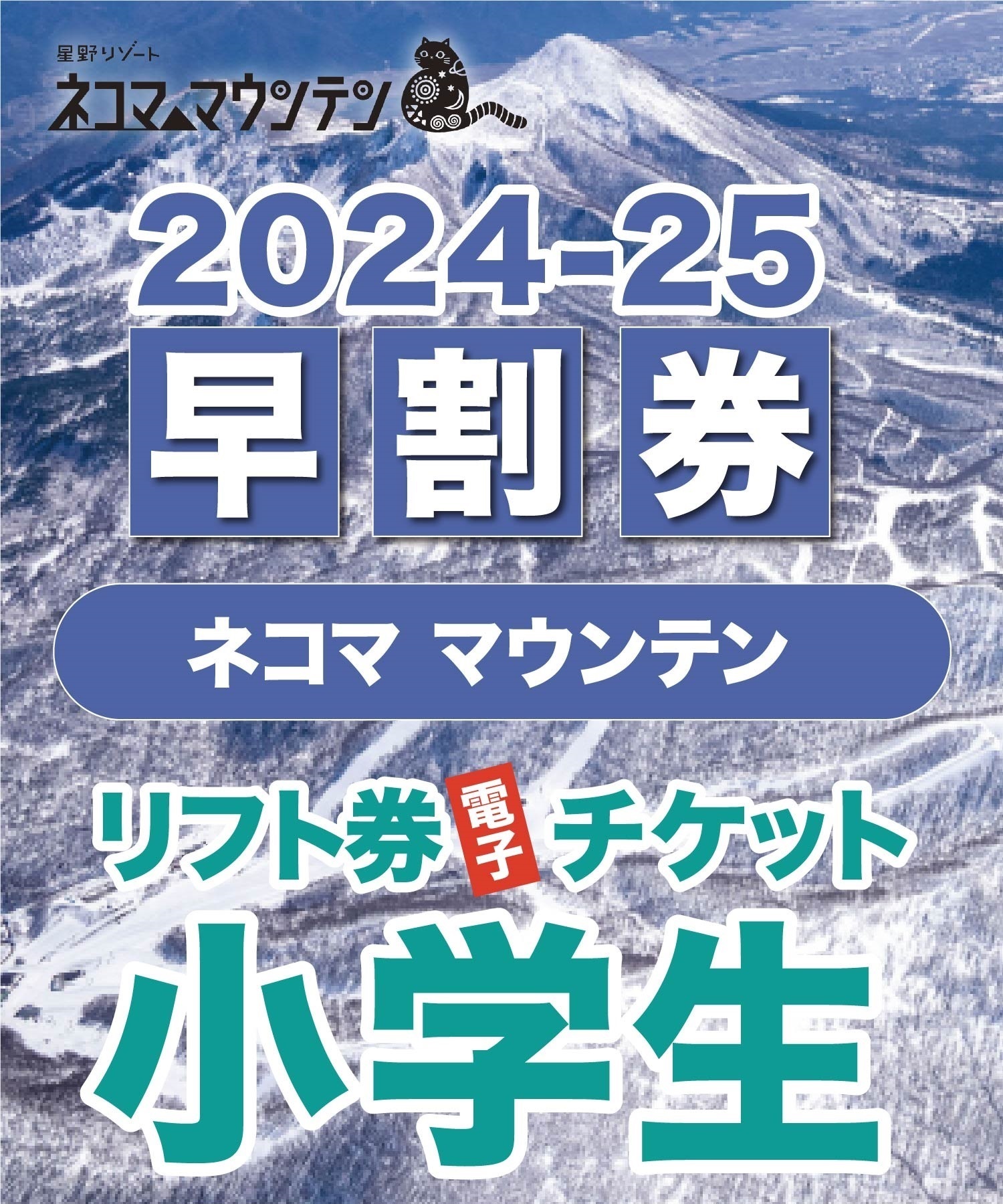 kintarou様 ネコママウンテン リフト券 2枚