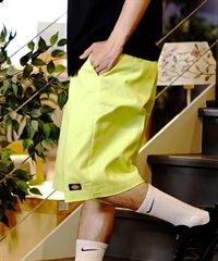 Dickies ディッキーズ ショートパンツ メンズ オーバーサイズ ショーツ ハーフパンツ ワークパンツ カラーパンツ 42283 14563000(21MST-28inch)
