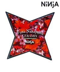 NINJA ニンジャ スケートボード べアリング  FUNA CERAMIX