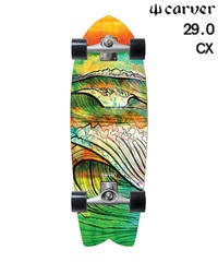 CARVER カーバー ロング スケートボード LANDスケート 29.0inch CX 2022 SWALLOW