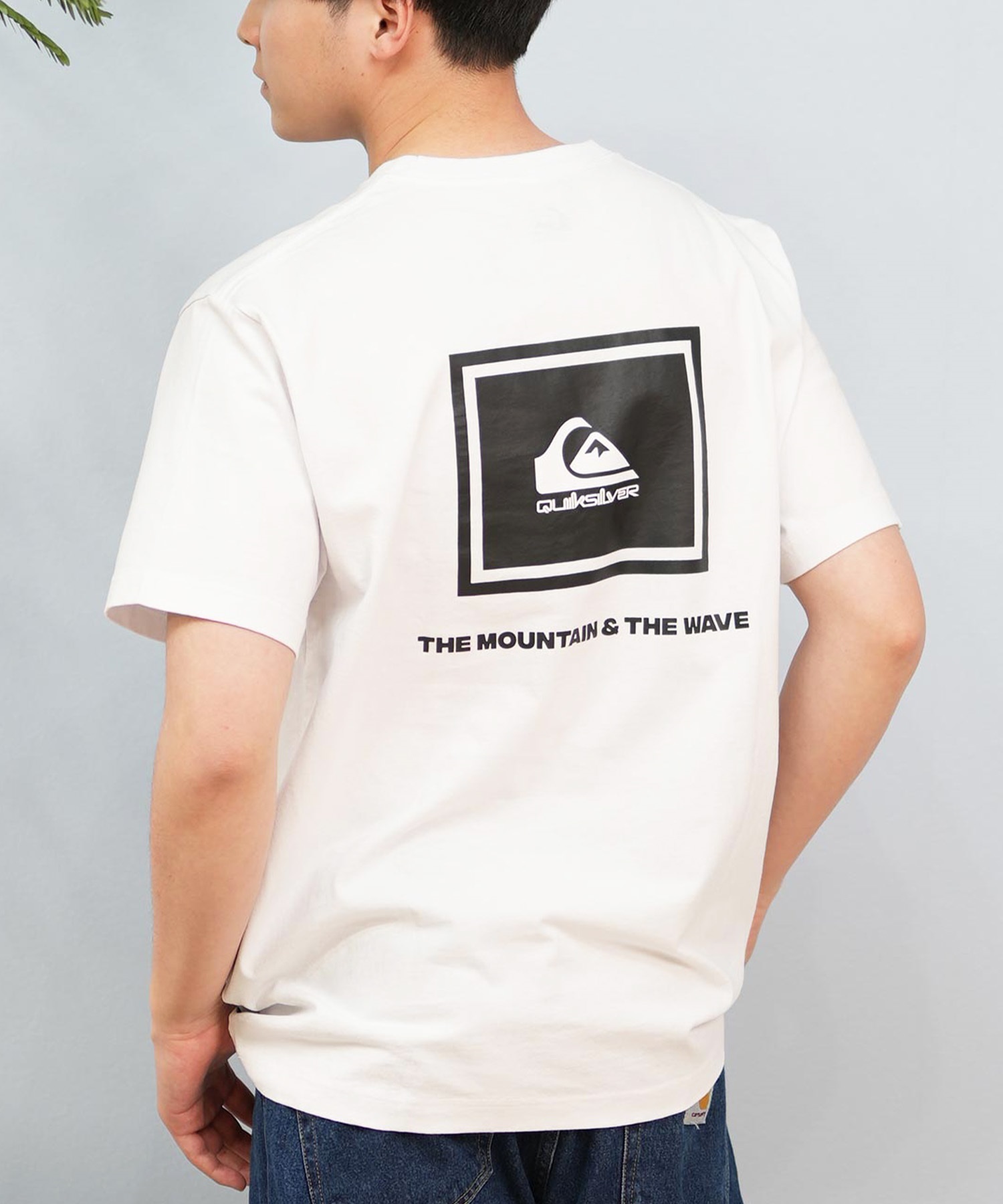 QUIKSILVER クイックシルバー 半袖 Tシャツ メンズ バックプリント BOX