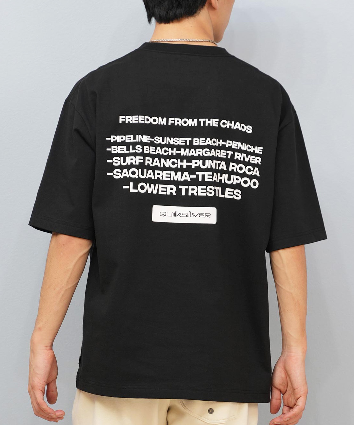QUIKSILVER クイックシルバー 半袖 Tシャツ メンズ ロゴ バック