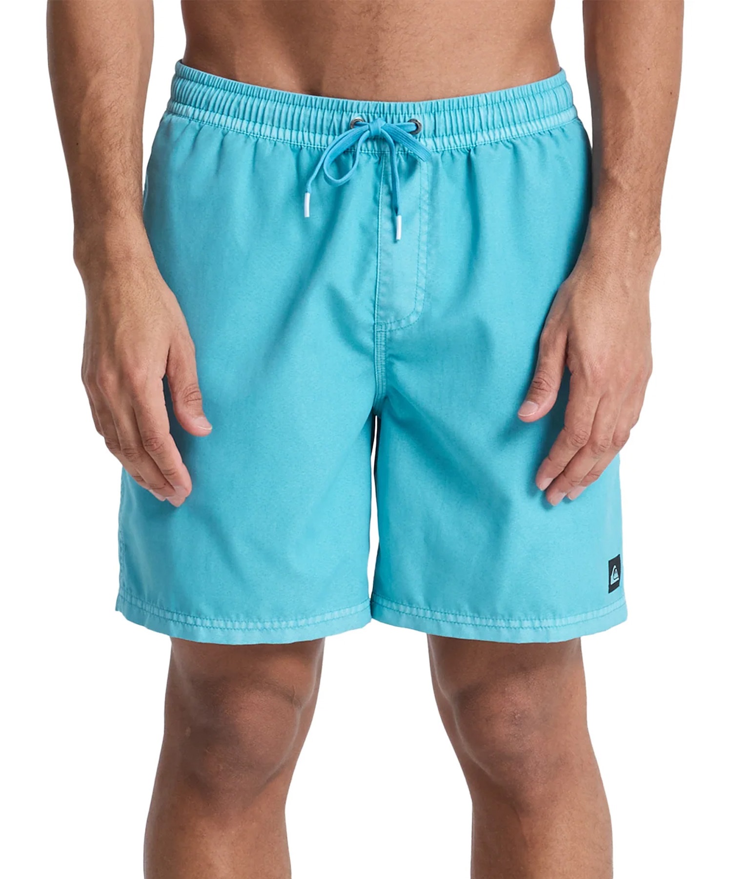 QUIKSILVER クイックシルバー 水着 トランクス ボードショーツ メンズ QUIKSILVER クイックシルバー 水着 トランクス ボードショーツ メンズ
