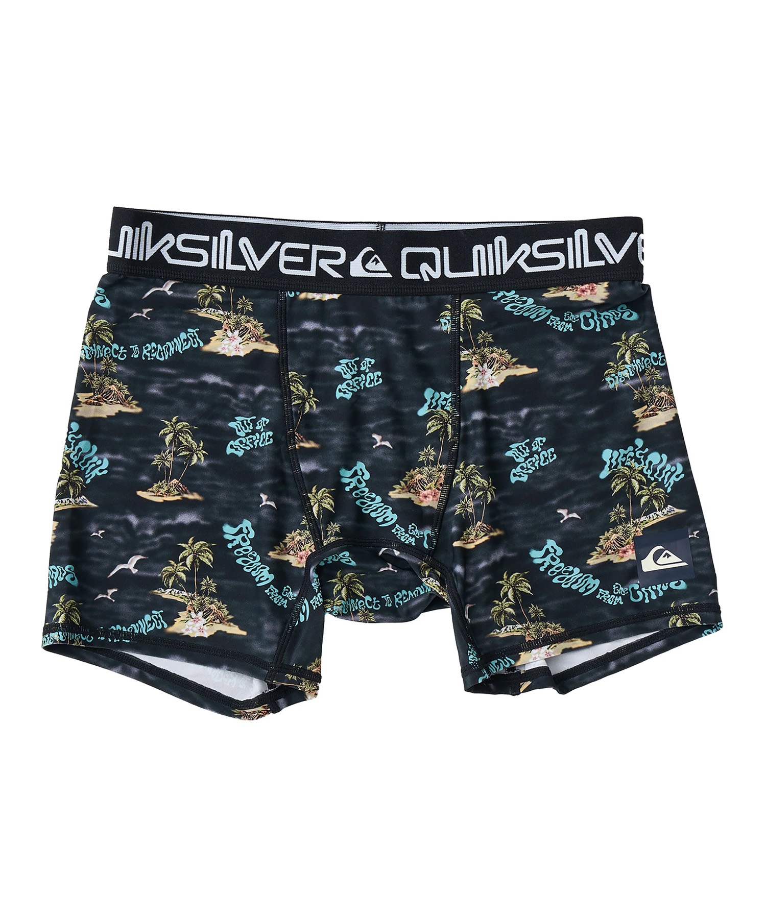QUIKSILVER クイックシルバー 水着 インナー メンズ サーフインナー アンダーショーツ ボクサーパンツ CONNECT QUD251004(BLK-S)
