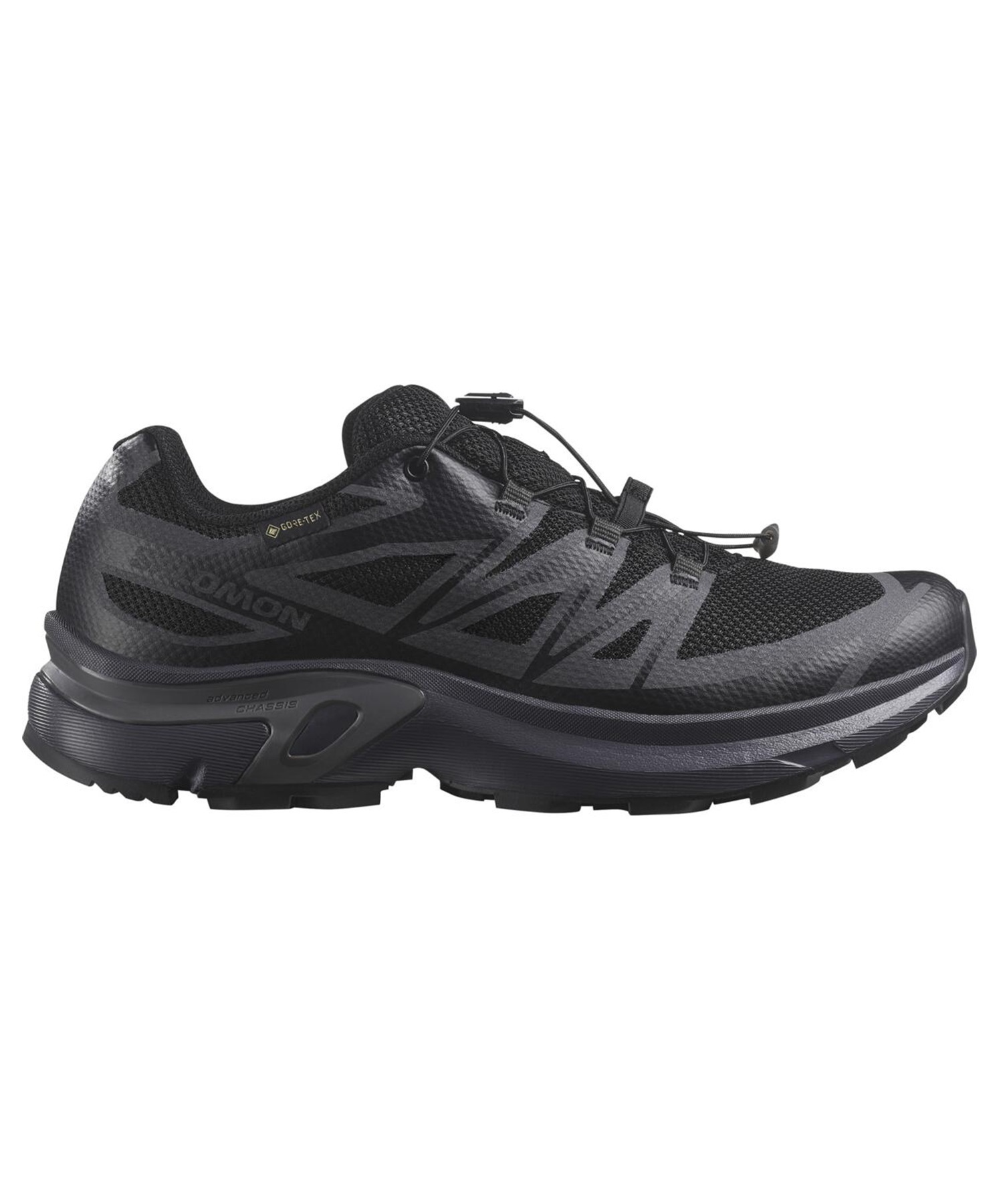 erumon様 Мужские ботинки для туризма с Gore-Tex Salomon Quest Element