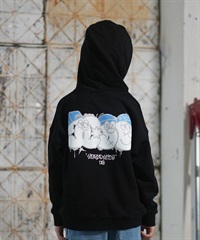 DC ディーシー プルオーバー パーカー キッズ ジュニア 子供 バック