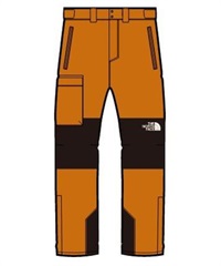 THE NORTH FACE ノースフェイス スノーボード ウェア パンツ