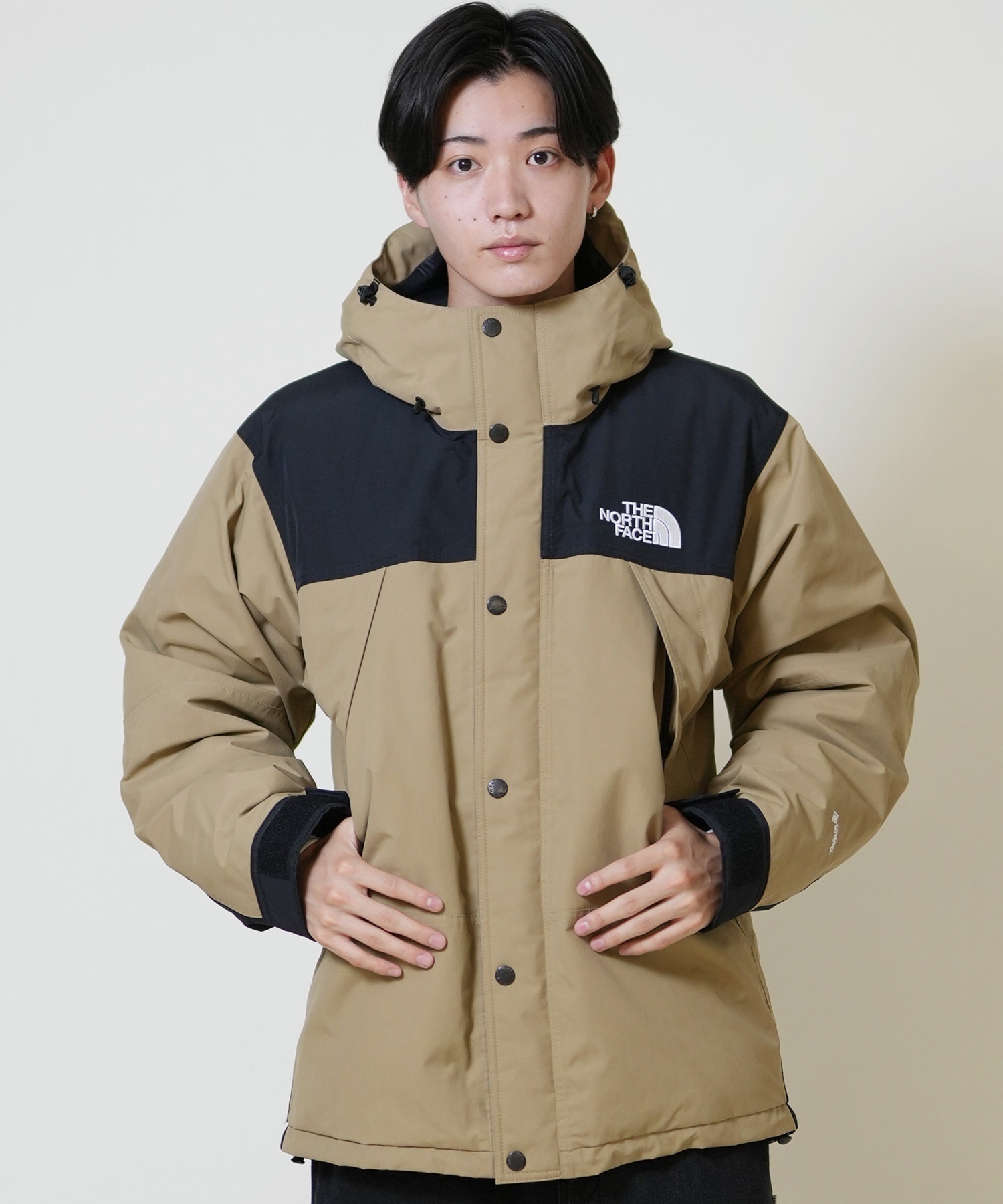 THE NORTH FACE ザ・ノース・フェイス ダウン ジャケット メンズ 防水