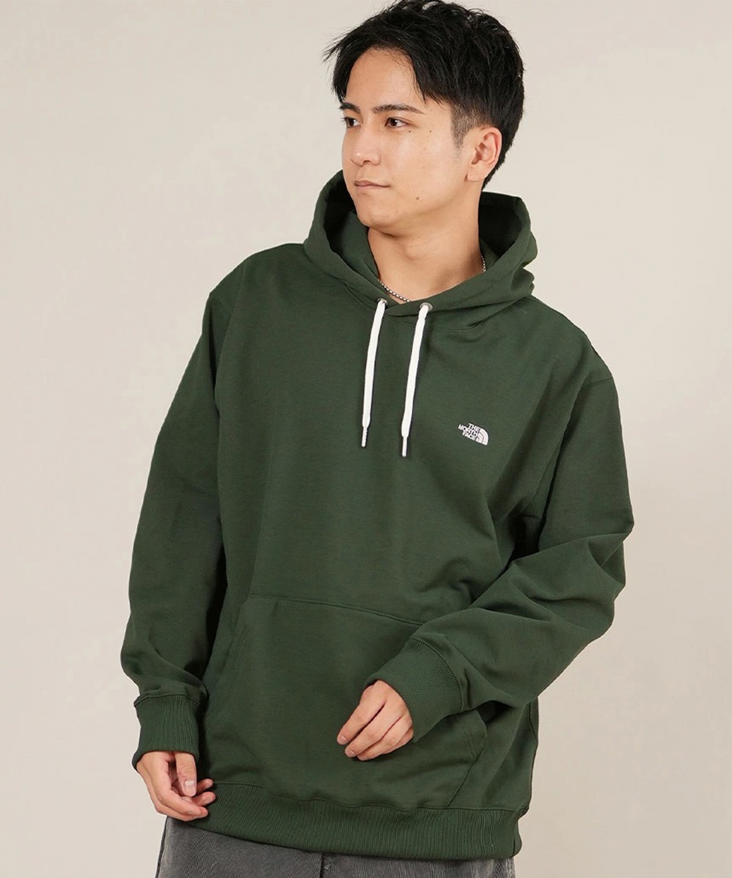 THE NORTH FACE ザ・ノース・フェイス プルオーバー パーカー メンズ