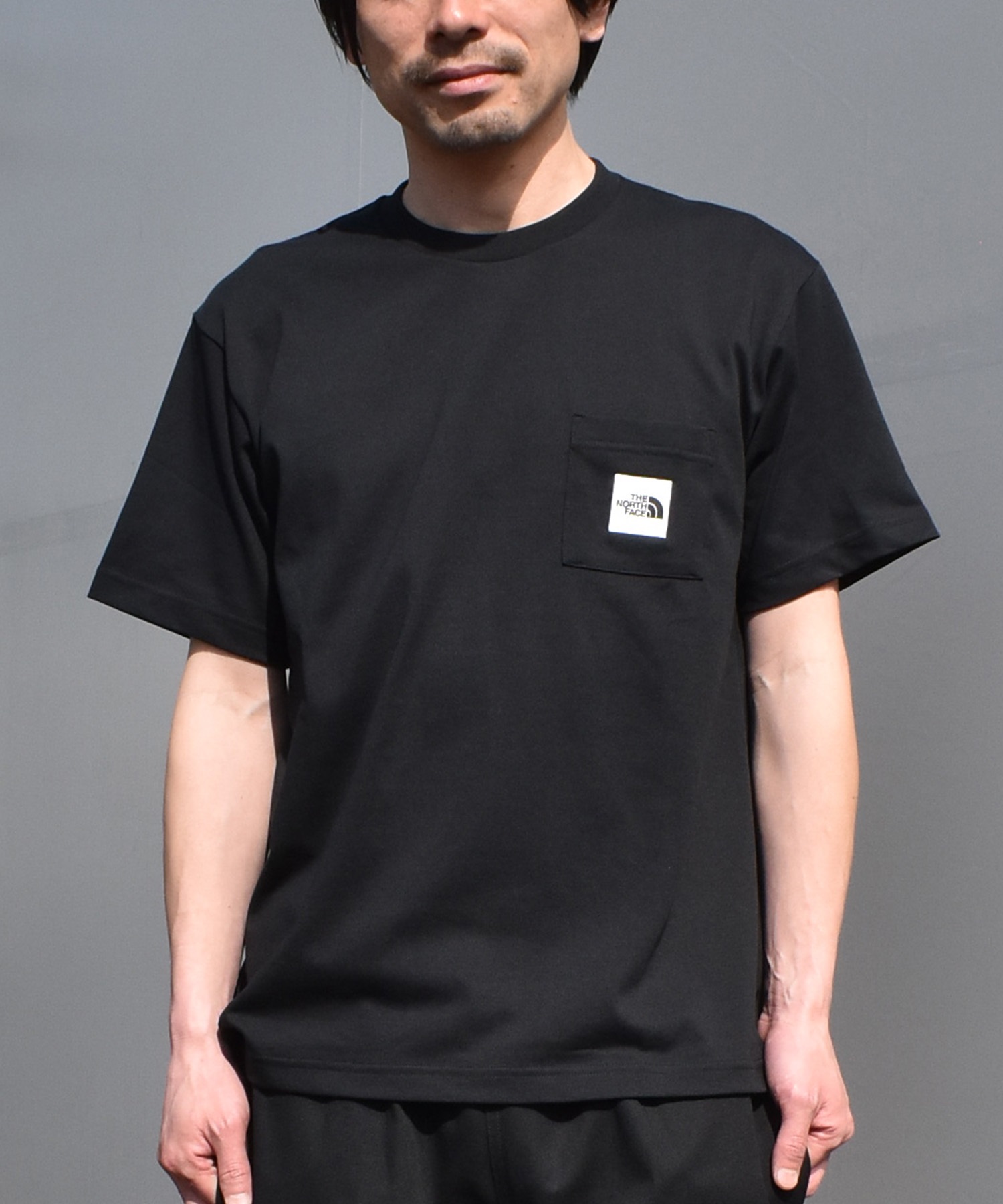 THE NORTH FACE ザ・ノース・フェイス 半袖 Tシャツ メンズ ポケT 速乾