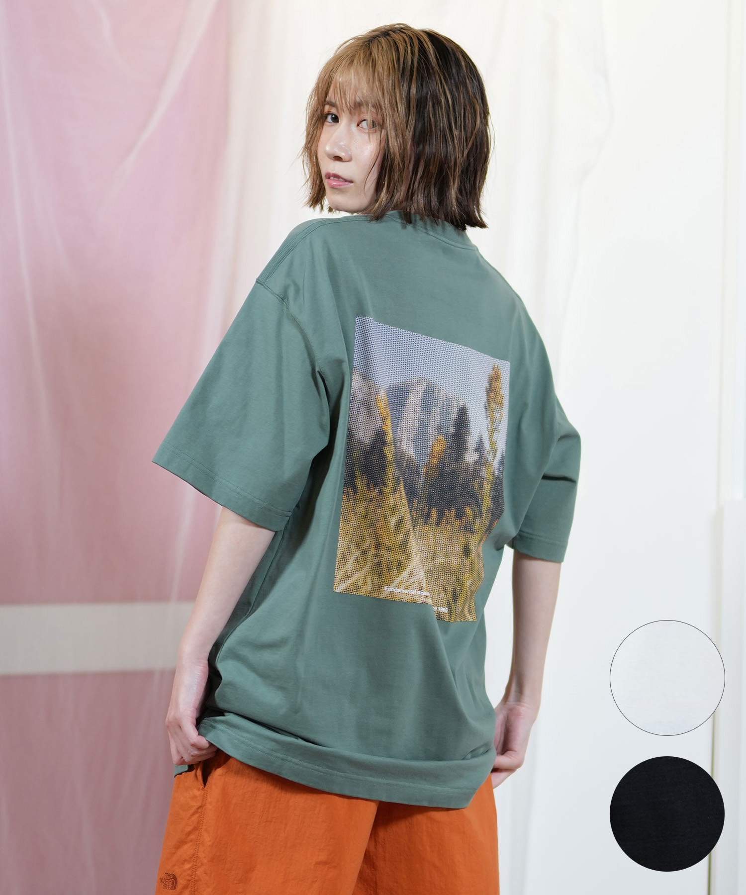 THE NORTH FACE ザ・ノース・フェイス 半袖 Tシャツ レディース バックプリント ショートスリーブピクセルプラントコットンティー NT32549(W-XS)