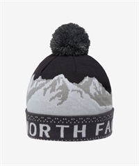 THE NORTH FACE ザ・ノース・フェイス ニット帽 ビーニー ニット