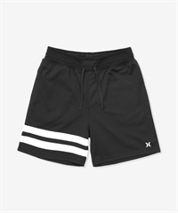 Hurley ハーレー 水着 海パン トランクス サーフパンツ メンズ