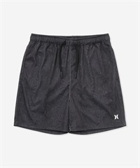 Hurley ハーレー 水着 海パン トランクス サーフパンツ メンズ