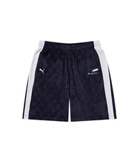 8月30日発売】PUMA プーマ ハーフパンツ ショートパンツ メンズ PUMA