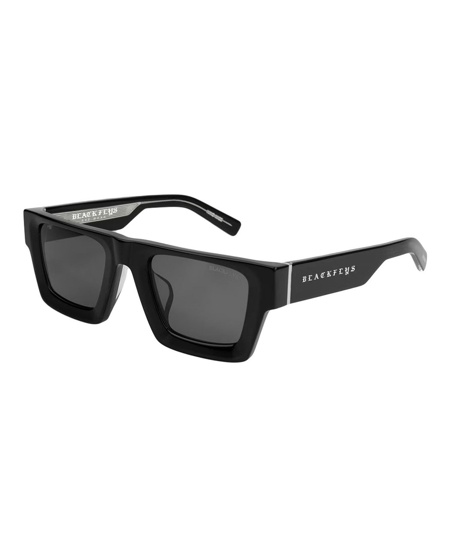 BLACK FLYS ブラックフライ サングラス FLY STINGRAY BF-15511-01
