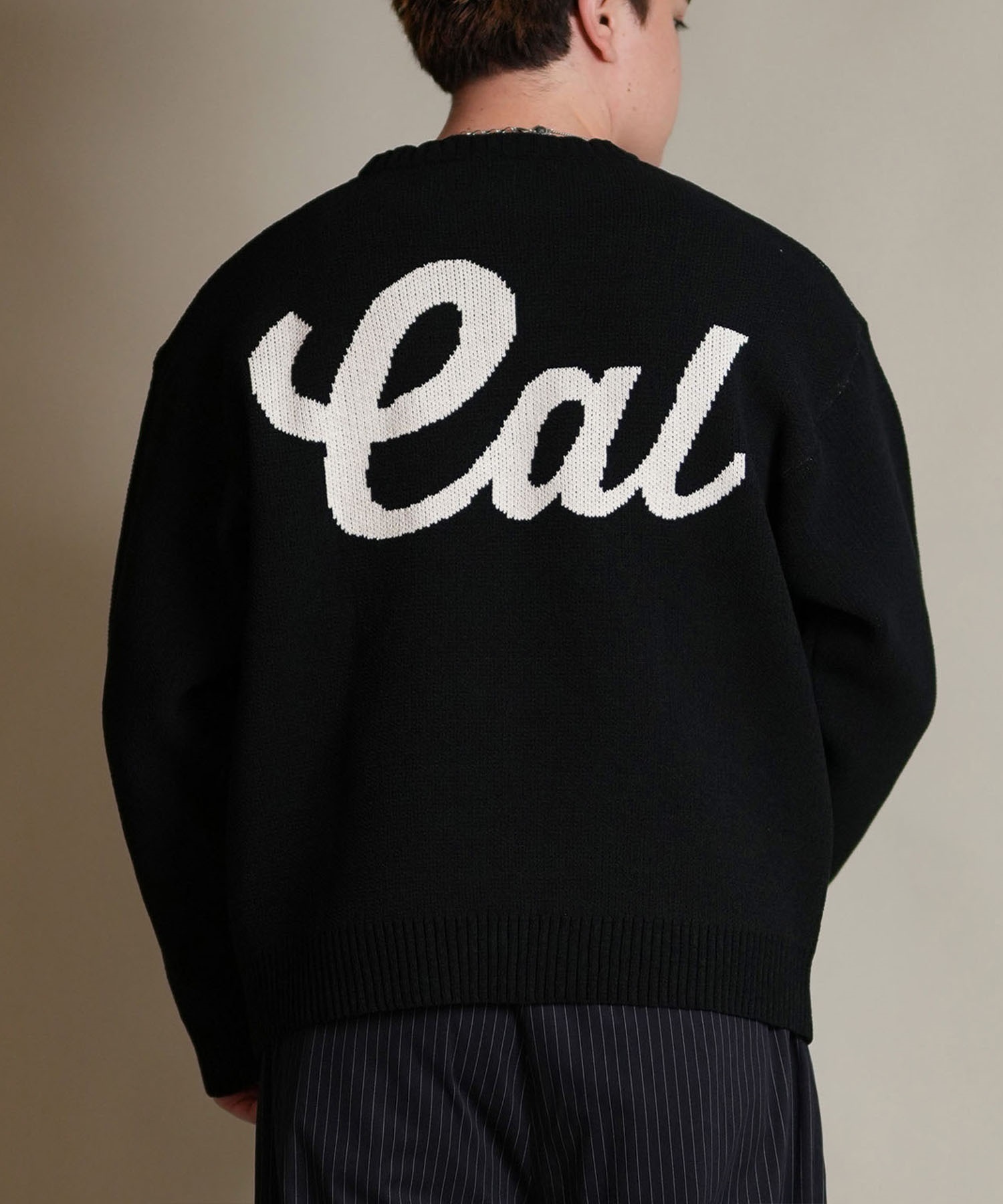 DEAR LAUREL ディアローレル ニット セーター メンズ CREW NECK KNIT