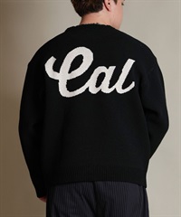 DEAR LAUREL ディアローレル ニット セーター メンズ CREW NECK KNIT CA D25F-1301(BLK-M)
