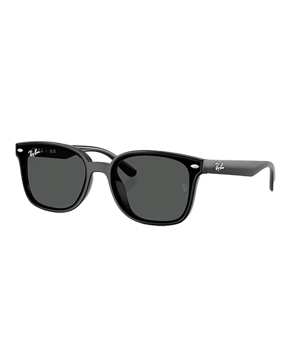 Ray-Ban レイバン サングラス UVカット 紫外線対策 0RB4461D601/87