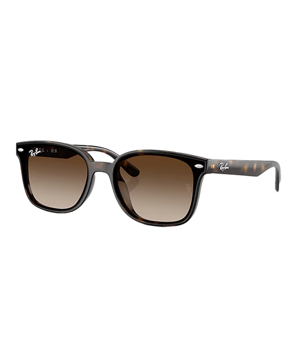 Ray-Ban レイバン サングラス UVカット 紫外線対策 0RB4461D710/13